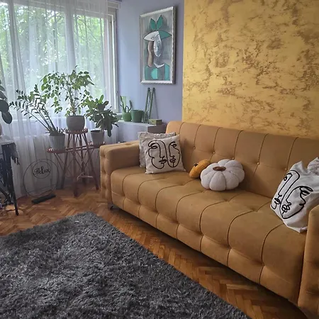 Aparmani Djuric Apartment Subotica Exterior photo
