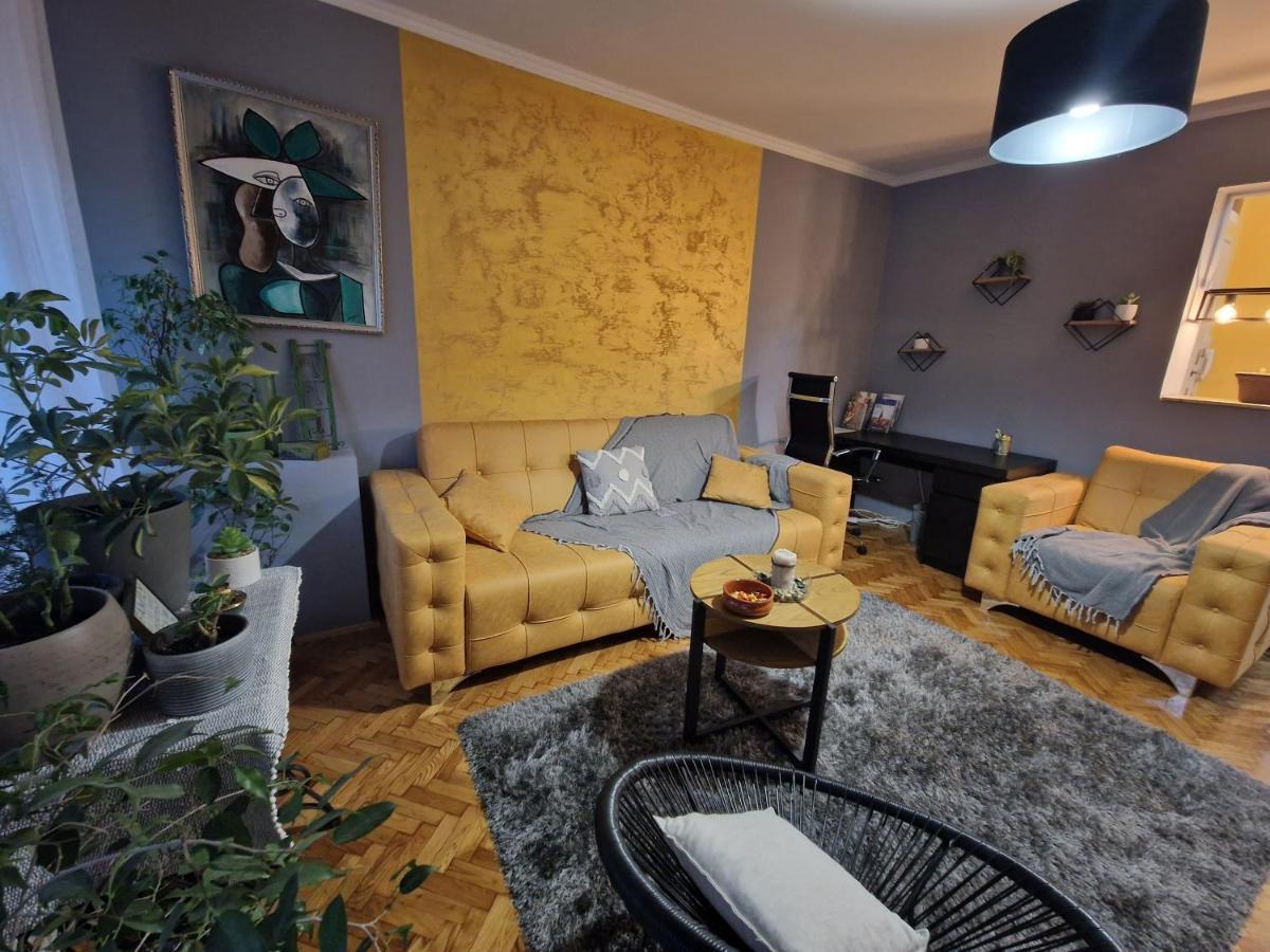 Aparmani Djuric Apartment Subotica